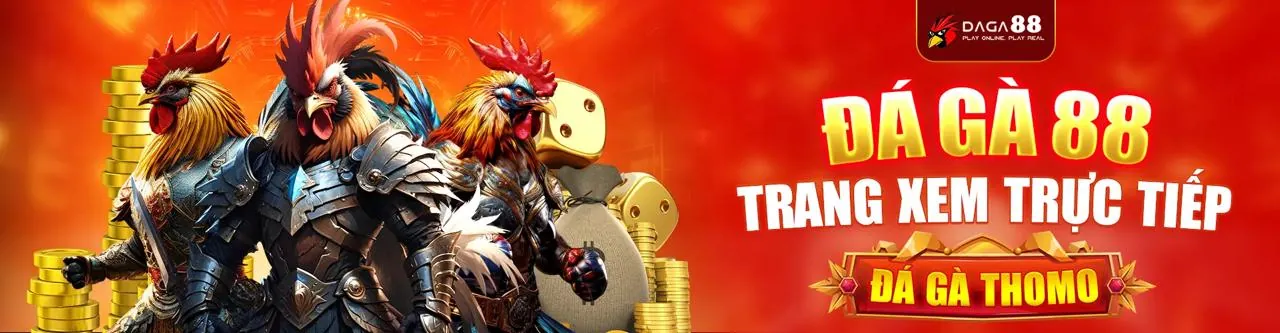 Tổng quan các hướng dẫn chi tiết appn1888