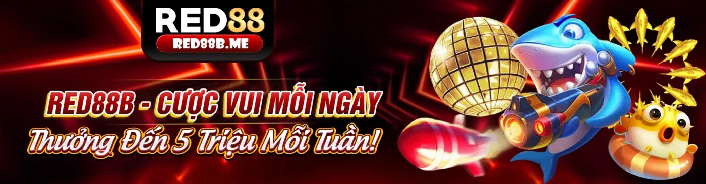 Hình ảnh chính blog appn1888