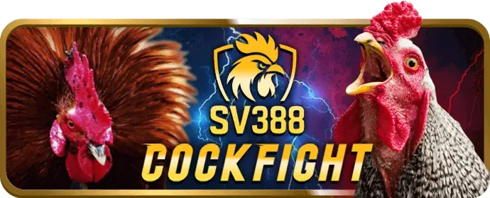 Chat trực tuyến với appn1888
